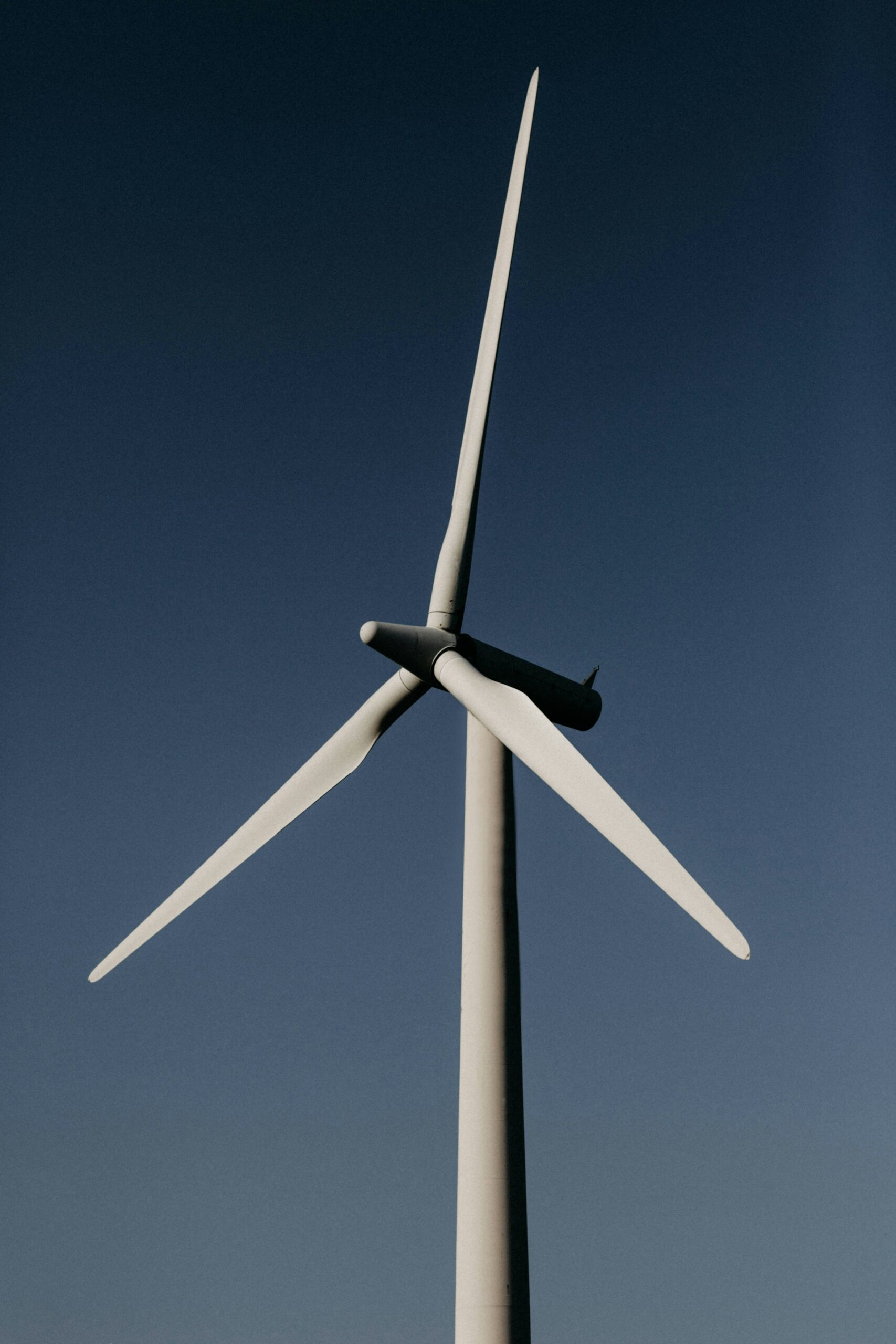 tom arran DzCY1gDGomw unsplash scaled